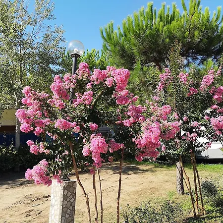 Chalet Campsitechalet In Near Sea Incl Airco Viareggio